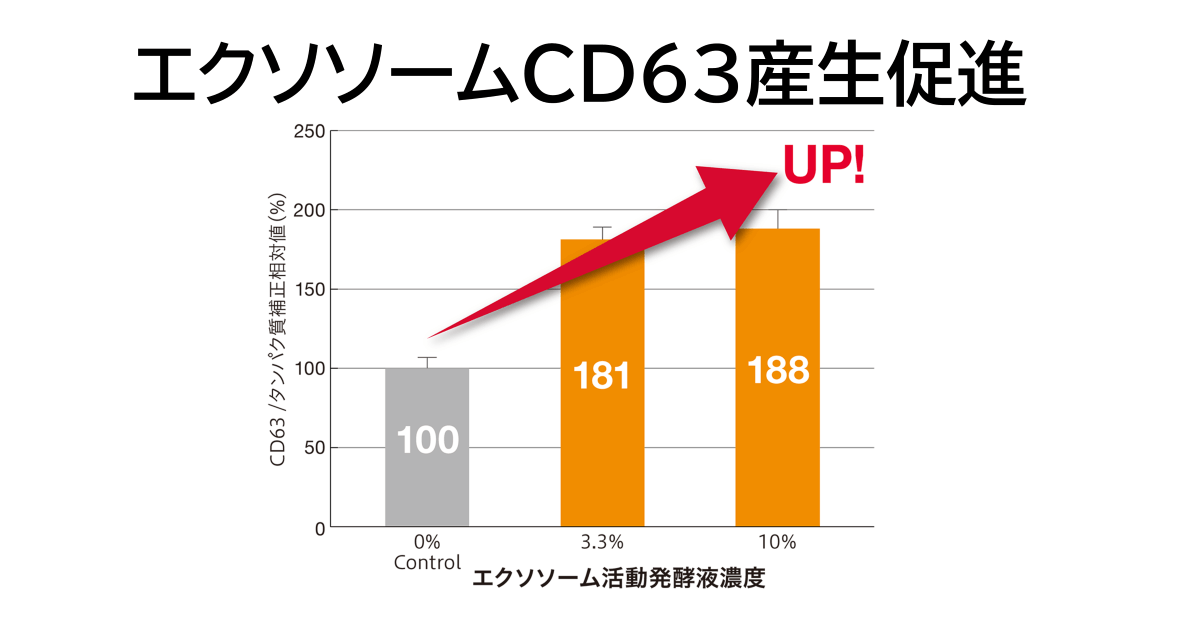 エクソソームCD63の産生促進作用