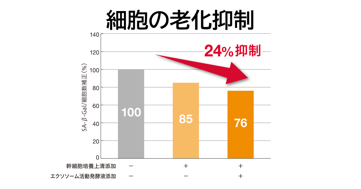 細胞の老化抑制